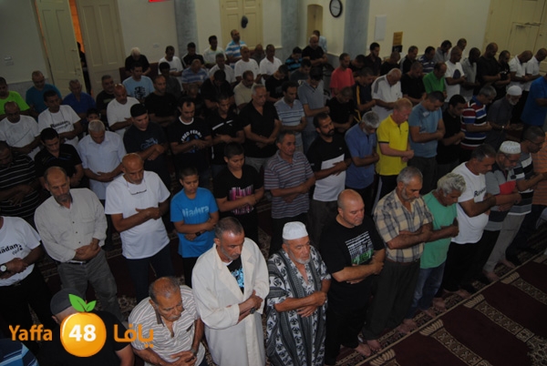 3akila jame3 803 (7).JPG